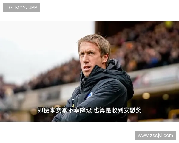 英超历史上最年轻主教练个人成就盘点 英超历史上最年轻主教练个人成就盘点