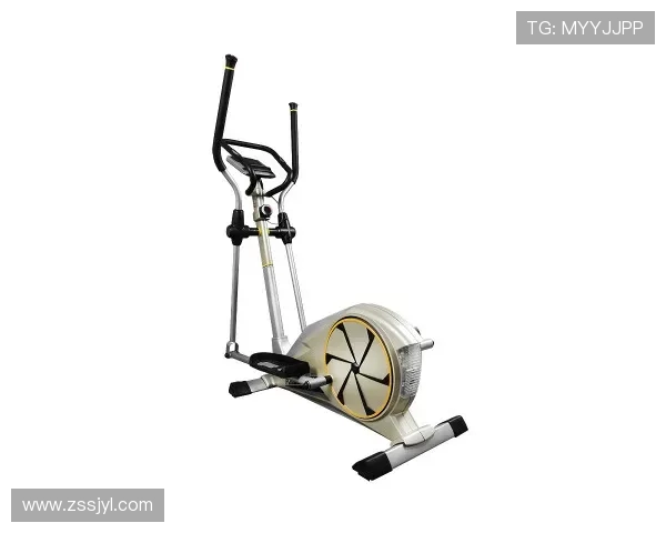 静音磁控健身车家用商用两用运动器材推荐